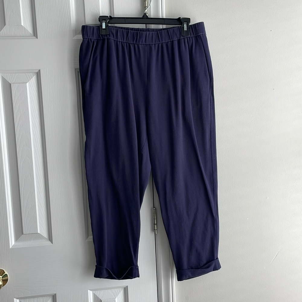 Eileen Fisher navy cropped pants